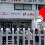 Productores de leche reclaman en Xalapa pagos atrasados de Liconsa ante la asfixia económica de los establos