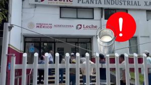 Productores de leche reclaman en Xalapa pagos atrasados de Liconsa ante la asfixia económica de los establos