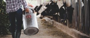 Sector lechero de California anticipa severos impactos económicos por nuevos aranceles impuestos por Canadá