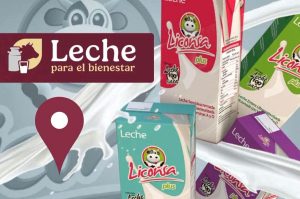 Triplican la compra de leche en Veracruz y depuran el padrón de productores para erradicar intermediarios