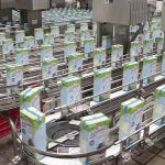 Adeudos de Leche para el Bienestar golpean a lecheros Adeudos de Leche para el Bienestar golpean a lecheros