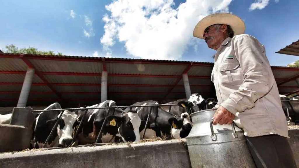 Bloqueos de lecheros en Chihuahua por adeudos de Liconsa