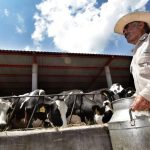 Bloqueos de lecheros en Chihuahua por adeudos de Liconsa