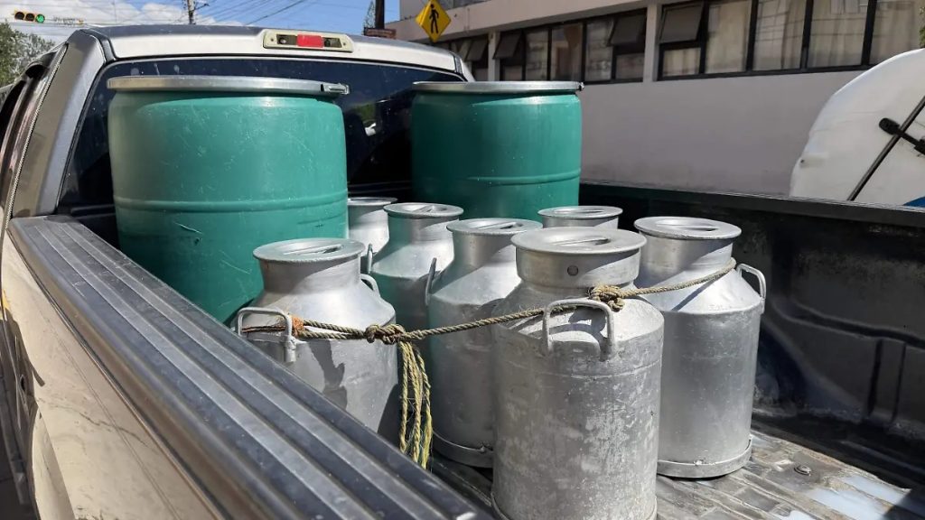 Cae a la mitad la venta de leche bronca en Celaya