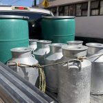 Cae a la mitad la venta de leche bronca en Celaya Cae a la mitad la venta de leche bronca en Celaya