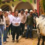 Centros de acopio de leche en Veracruz elevan ingresos