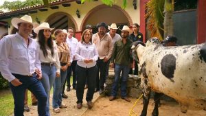 Centros de acopio de leche en Veracruz elevan ingresos