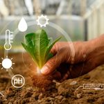 Danone reduce 30% sus emisiones con agricultura regenerativa Danone reduce 30% sus emisiones con agricultura regenerativa
