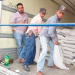 Distribuyen maíz rolado en Chihuahua para ganaderos Distribuyen maíz rolado en Chihuahua para ganaderos