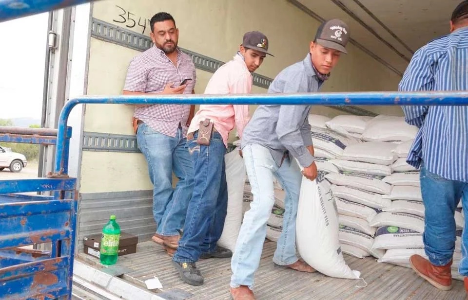 Distribuyen maíz rolado en Chihuahua para ganaderos
