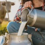 El consumo de leche cruda eleva severos riesgos sanitarios El consumo de leche cruda eleva severos riesgos sanitarios