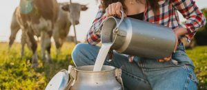 El consumo de leche cruda eleva severos riesgos sanitarios