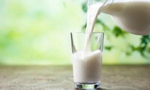 Estudio revela que consumir lácteos no aumenta el peso corporal