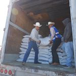 Exigen frenar el castigo al sector lechero en Chihuahua Exigen frenar el castigo al sector lechero en Chihuahua