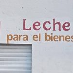 La ASF detecta pagos irregulares en Leche del Bienestar