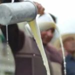 Lecheros de Chihuahua sufren retraso en pagos de Liconsa